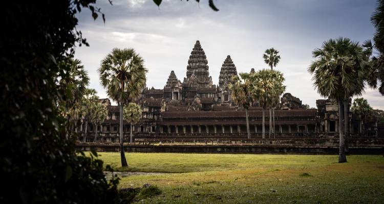 Templo de Angkor Wat rodeado de palmeras con un cielo despejado.