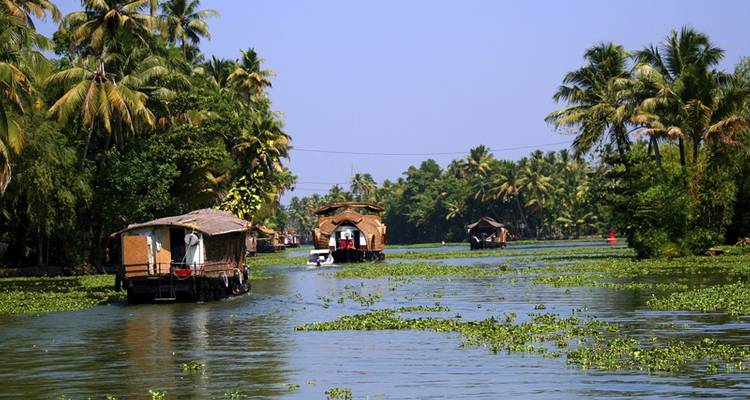 Descubre el sur de la India - Aventura Premium - Exodus Adventure Travels 6