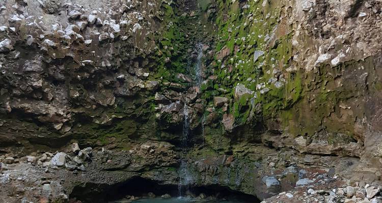 Gros plan d'une grotte moussue avec une petite cascade.