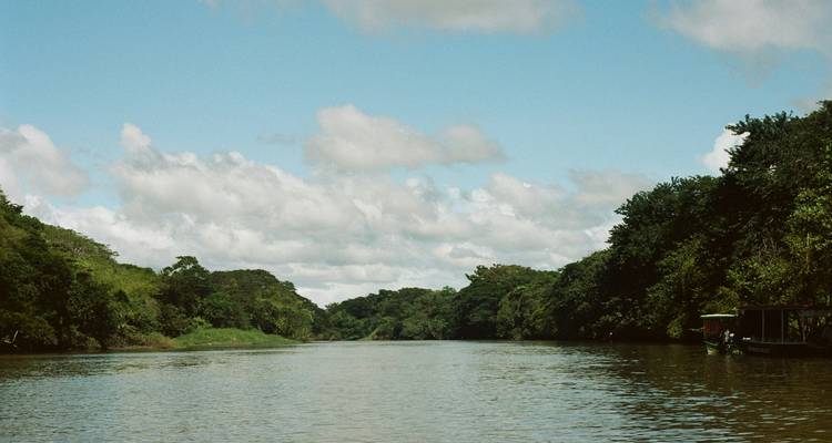 Vue large sur la rivière bordée de feuillage vert.