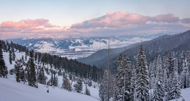 Des pentes de conifères enneigées encadrent une vallée montagneuse hivernale sous des nuages rosés de lever de soleil dans le Wyoming.