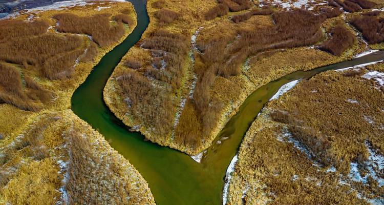 Aerial view of a river winding through wetlands.