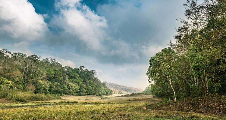 Paisaje verde exuberante bajo un cielo nublado.