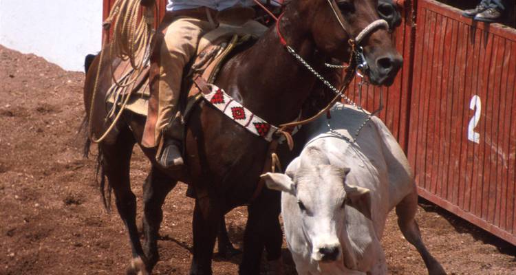 Événement de rodéo mettant en scène un homme à cheval tentant de contrôler un taureau.