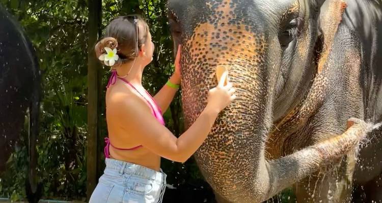 Vrouw in interactie met een olifant in een weelderige omgeving.