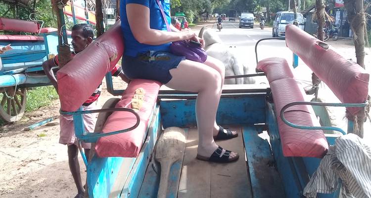 Persoon zittend in een traditionele kar op een straat met voertuigen.
