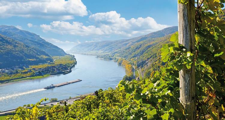 Vue d'une rivière sinueuse avec des vignobles et des forêts de chaque côté.