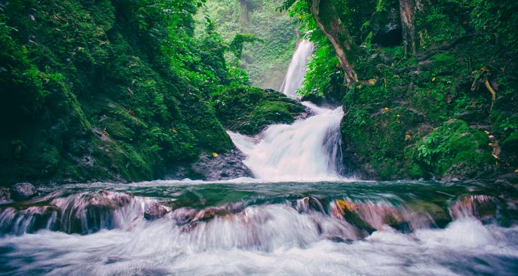Waterfall flowing through a lush green forest