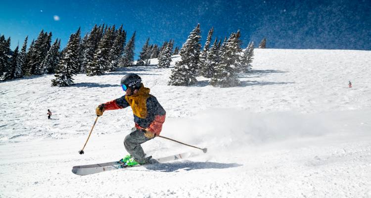 Child skiing on a snowy slope with trees in the background.