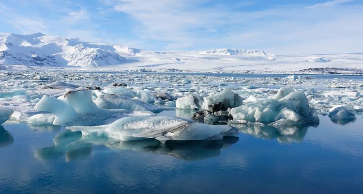 Une grande étendue d'eau remplie d'icebergs, avec des montagnes enneigées en arrière-plan.