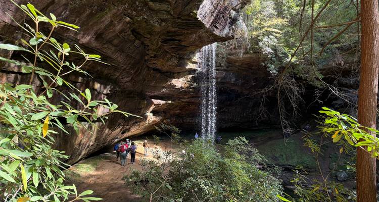 Cascade coulant sur un rebord rocheux entouré de verdure, avec des personnes en dessous.