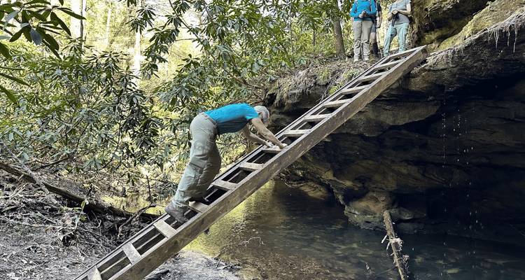 Personne descendant une échelle en bois dans une zone rocheuse et boisée.