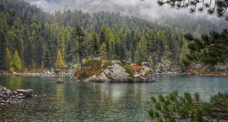 Kleine felsige Insel, umgeben von ruhigem Wasser und Kiefern.