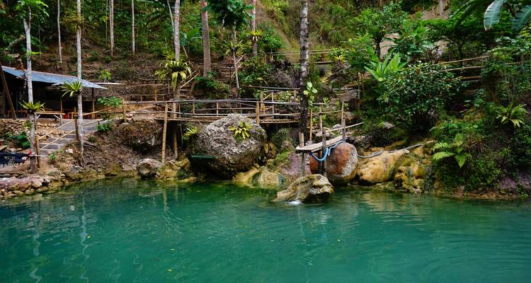 Natürlicher Pool mit umgebender tropischer Vegetation.