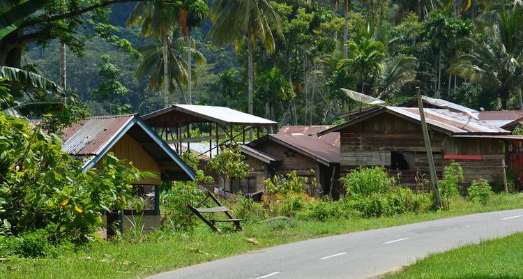 Ländliche Dorfszene mit traditionellen Häusern und Palmen.