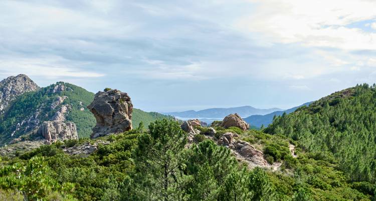 Formations rocheuses spectaculaires et verdure avec vue sur l'océan au loin.