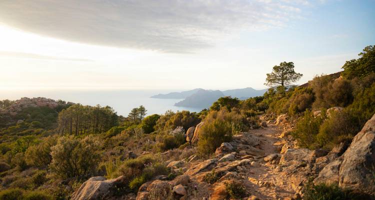 Une côte rocheuse et magnifique avec des montagnes en arrière-plan au coucher du soleil.
