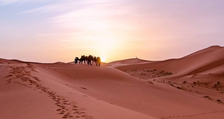 Een karavaan van kamelen silhouetten tegen een zonsondergang boven zandduinen.