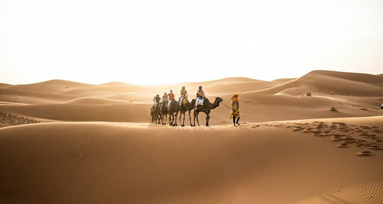 Una caravana de camellos dirigida por un guía atraviesa las doradas dunas del Erg Chebbi contra un amanecer resplandeciente.