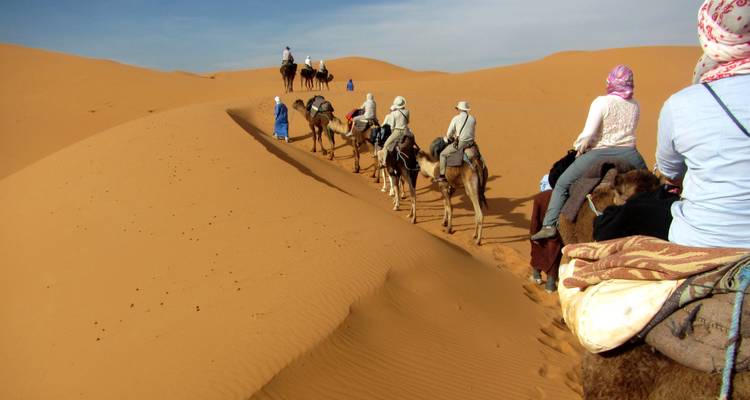 Caravana de camellos atravesando vastas dunas de arena.