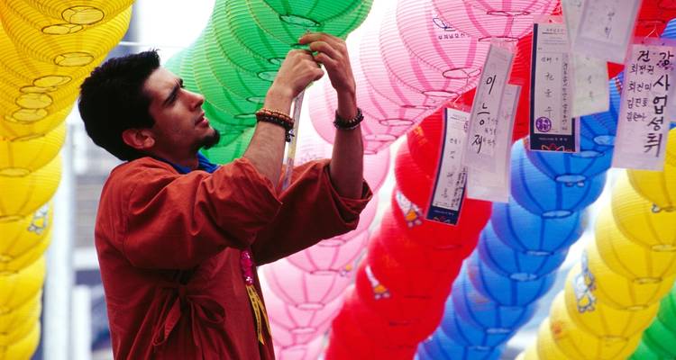 Hombre colocando linternas de papel de colores durante un festival cultural.