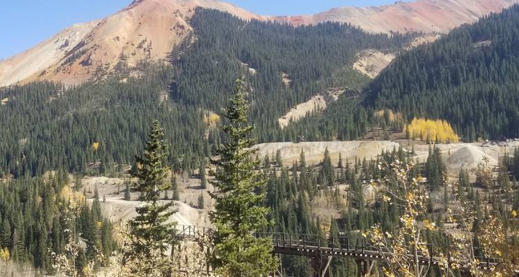 Vue de montagne avec des arbres et un pont en bois.