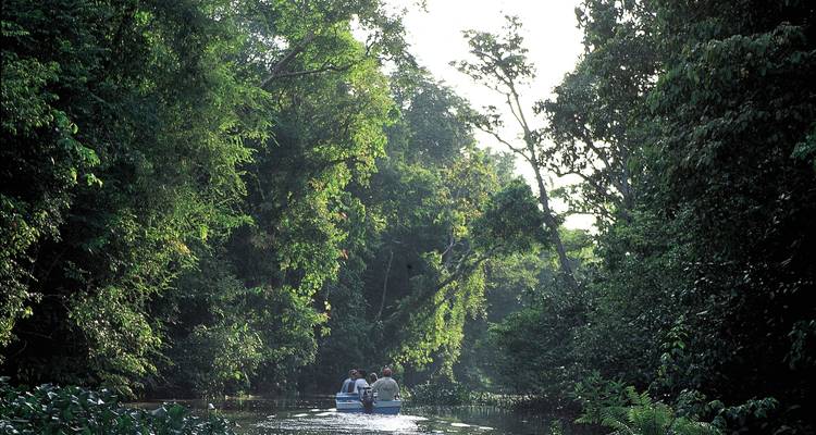 Des personnes dans un petit bateau naviguant sur une rivière à la jungle luxuriante.