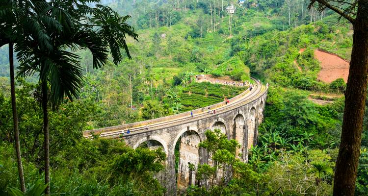 Pont des Neuf Arches entouré d'une végétation luxuriante à Ella.