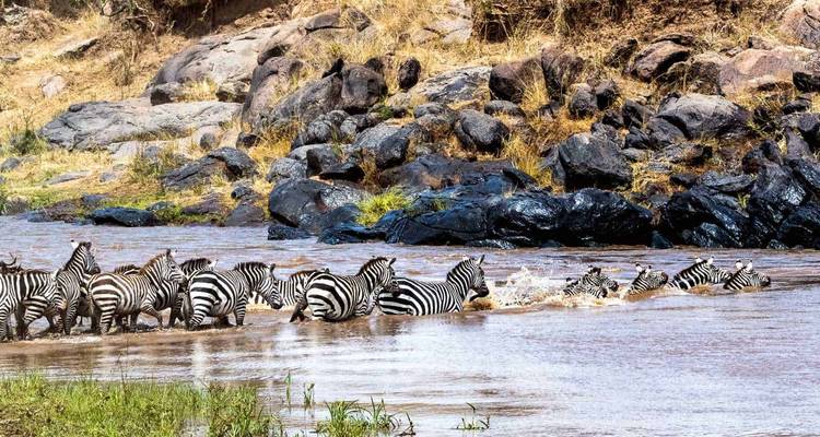 Zebra's die een rivier oversteken tegen een rotsachtige landschapsachtergrond.