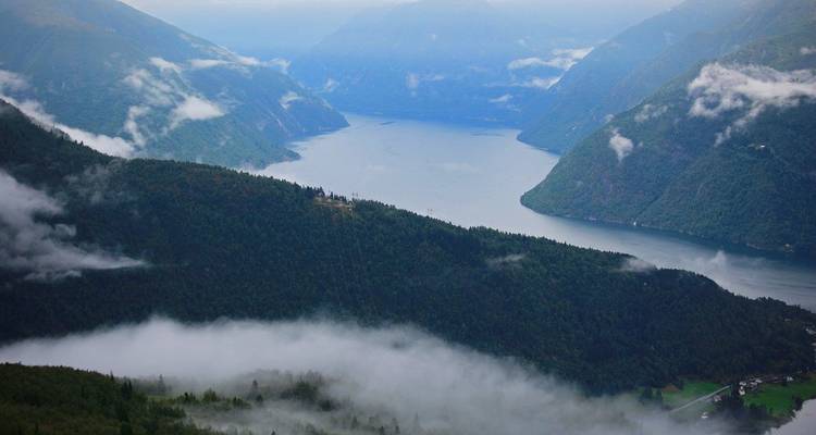 Vue de dessus d'une vallée de fjord brumeuse entourée d'une forêt luxuriante.