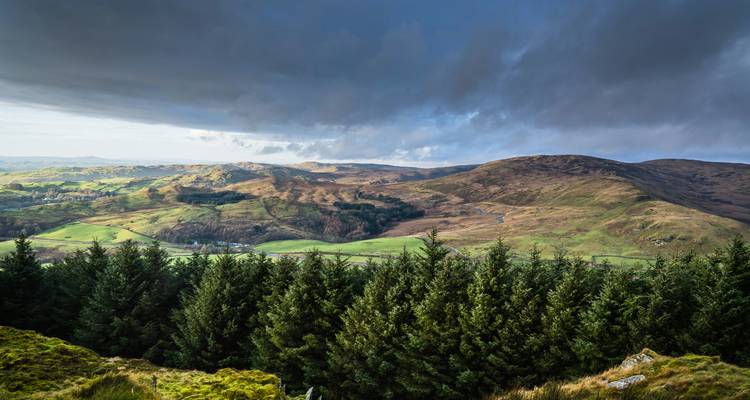 Rolling hills with dense forest and cloudy skies.
