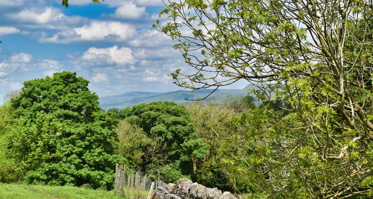 Lush green landscape with stone walls and distant hills.