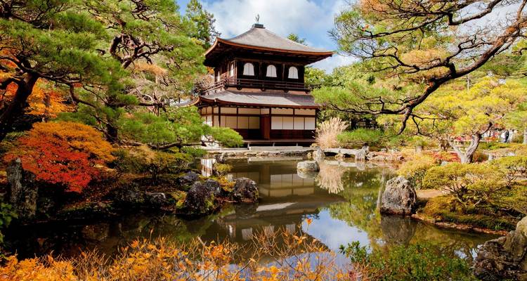 Jardin japonais traditionnel avec un pavillon en bois