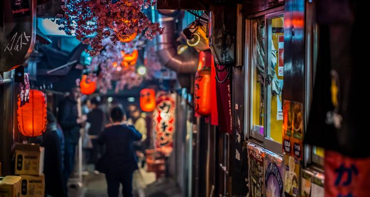 Les points forts du Japon - Exodus Adventure Travels 1