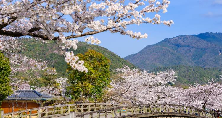 Les points forts du Japon - Exodus Adventure Travels 3