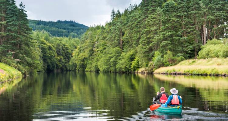 Des canoéistes pagayent sur un lac calme bordé de forêt.