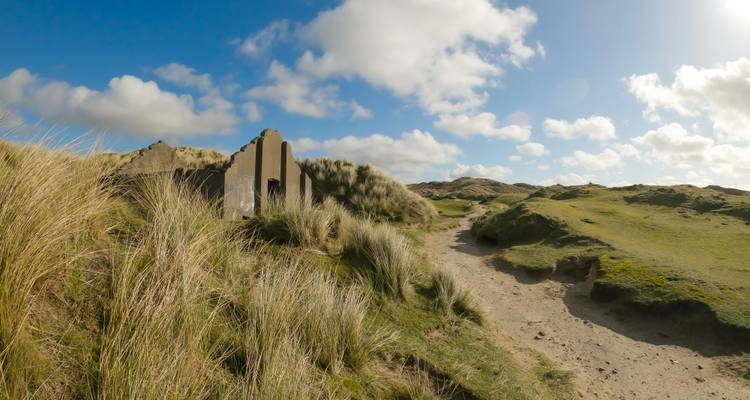 Sentier à travers les dunes entouré de hautes herbes sous un ciel lumineux.