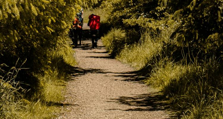Two hikers with backpacks walking on a wooded path.