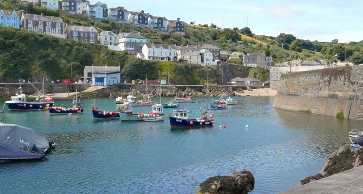 Vue du port avec de petits bateaux de pêche et des maisons sur la colline.