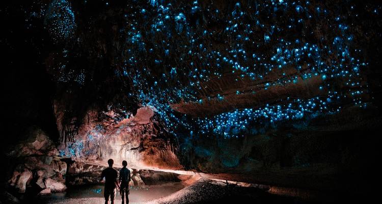 Un couple observant l'intérieur d'une grotte éclairée par des vers luisants.