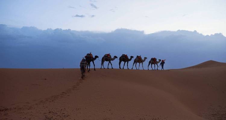 Camellos y personas silueteadas contra una duna del desierto al anochecer.