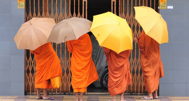 Moines en robes vibrantes tenant des parapluies.