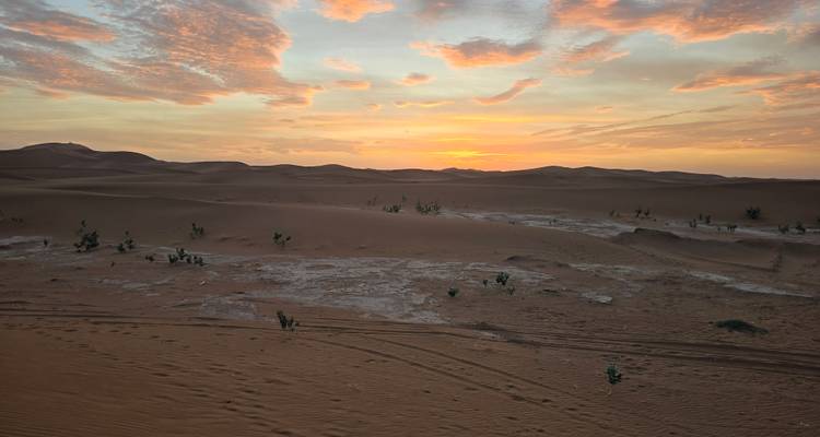 Breed woestijnpanorama bij zonsopgang met zachte roze wolken boven golvende zand en verspreide struiken.