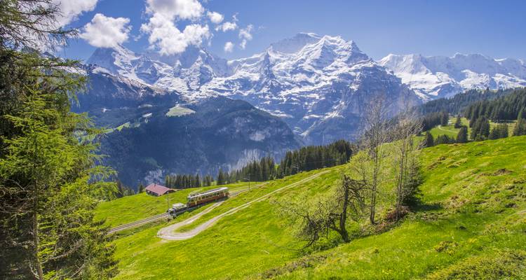 Alpenlandschap met een trein en besneeuwde bergen.