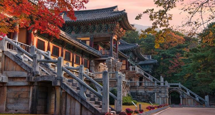 Un bâtiment coréen traditionnel sous un coucher de soleil entouré de feuillage d'automne.