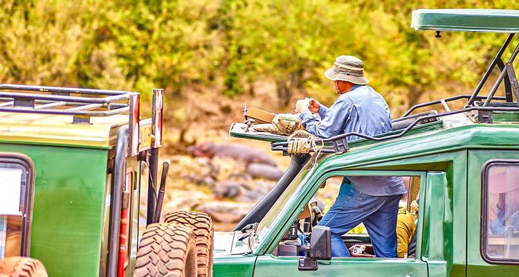 Une personne dans un véhicule de safari observant la faune dans un environnement naturel.