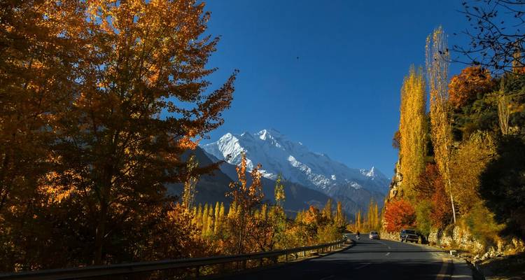 Route bordée de couleurs automnales encadrée par de hauts peupliers dorés avec des sommets enneigés au loin