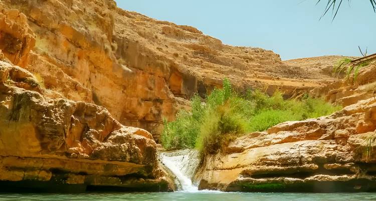 Cascade dans un canyon rocheux du désert avec de la verdure.