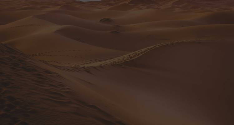 Dunas de arena oscura con huellas tenues.