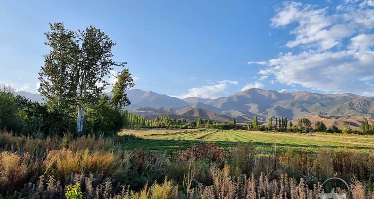 Landscape with fields and distant mountains under blue sky.